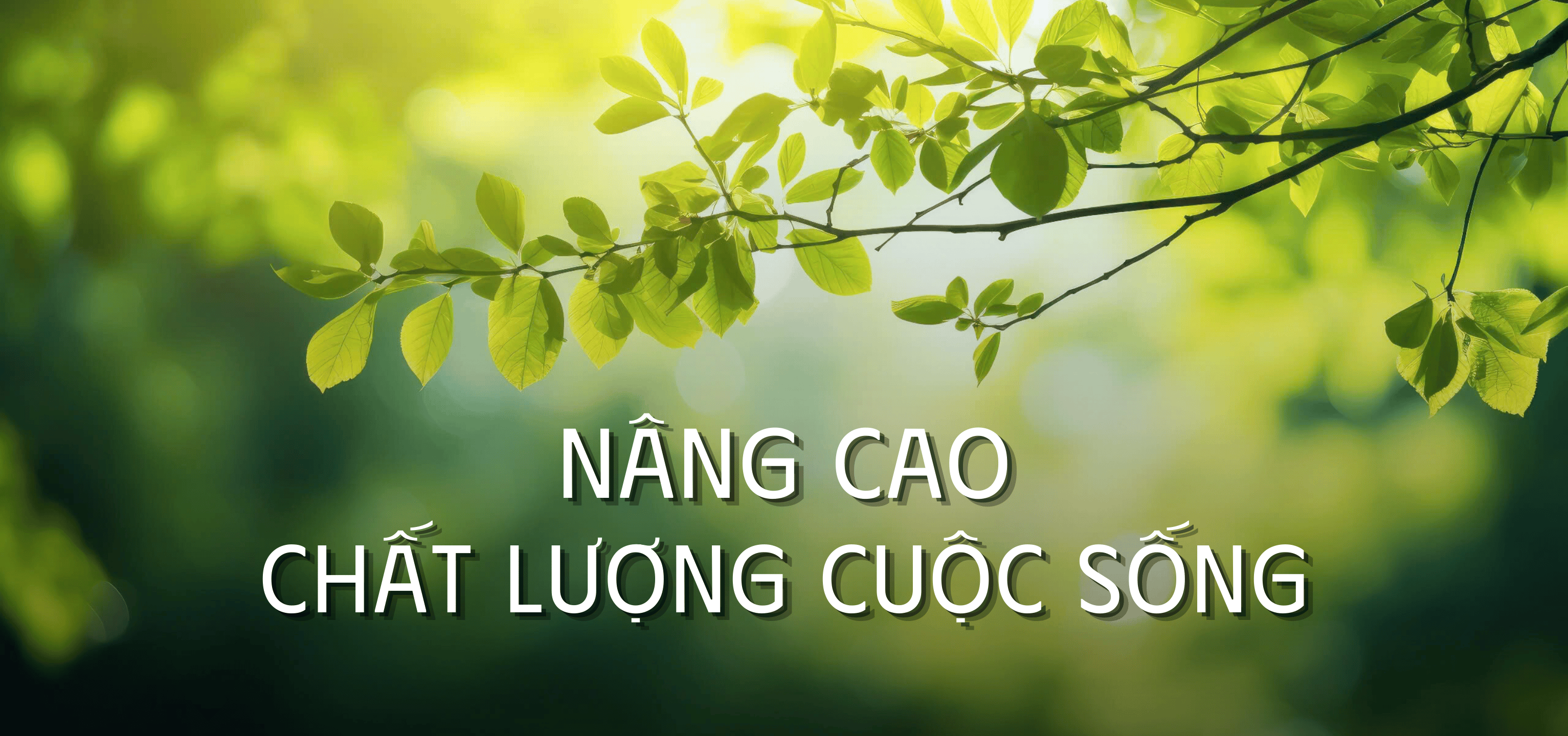 Bảo vệ sức khỏe và cảm xúc cả gia đình và thú cưng - Nâng cao chất lượng cuộc sống